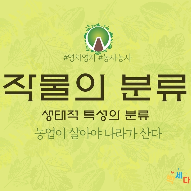  농업이 말한다!! 작물의 생태적 특성의 분류 생존연한, 생육계절, 온도반응, 생육형, 저항성에 따른 분류 알아보기