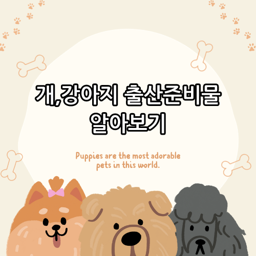  개,강아지 임신 징후와 출산준비물