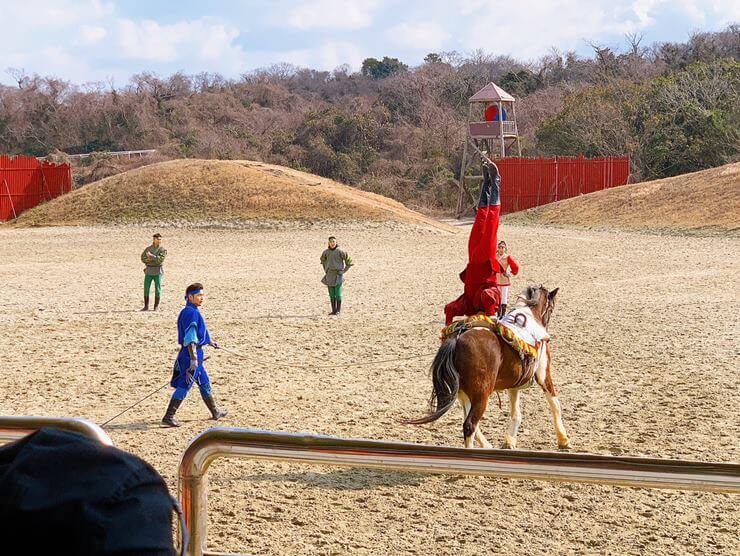 더마파크 말공연 사진으로 달리는 말 위에 출연자가 물구나무서있기를 선보이고 있다.