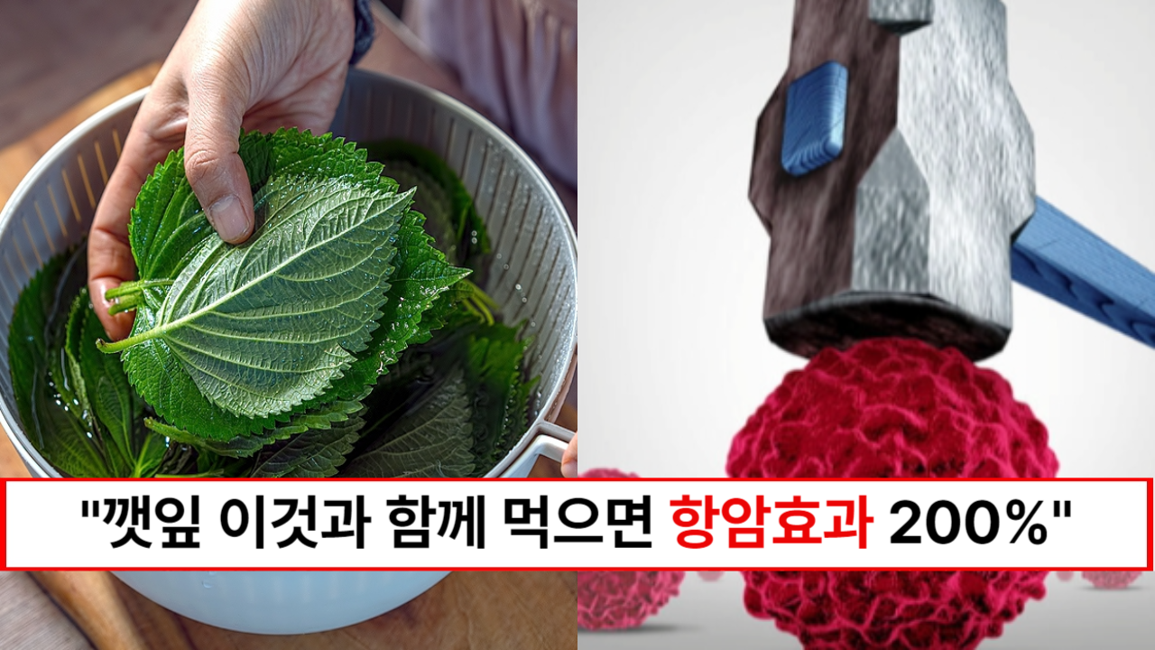 “깻잎은 같이 먹어야 효과 200%입니다” 깻잎과 같이 먹으면 항암효과 최고라는 음식 1가지