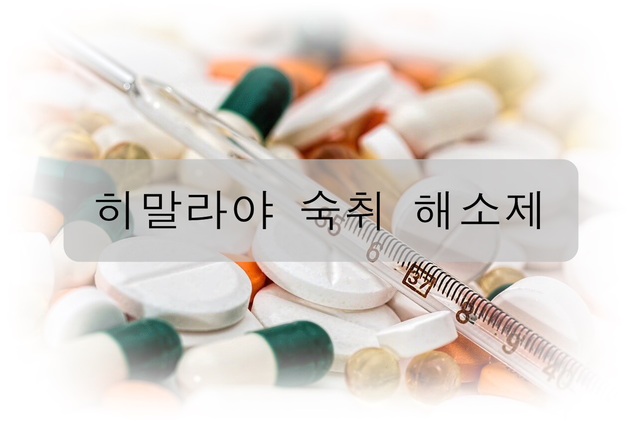  숙취에 직빵! 핫한 히말라야 숙취 해소제 (성분, 복용법, 효능/효과, 판매하는 곳)