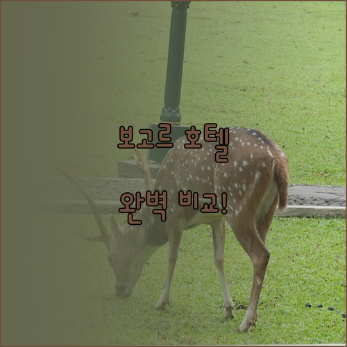 보고르 호텔 추천 Inagro, 스위