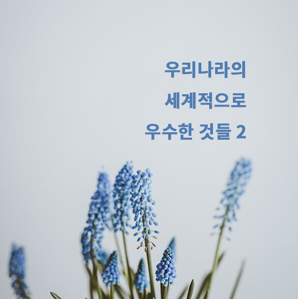  우리나라의 세계적으로 우수한 것들 2