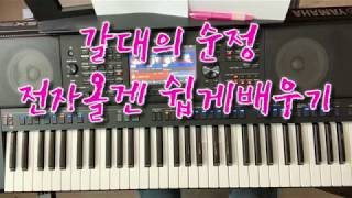  쏠전자올겐 쉽게배우기 (중급) - 총 22 강