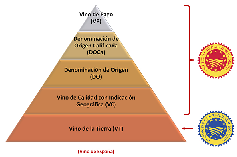 스페인 와인의 6단계 등급 도표