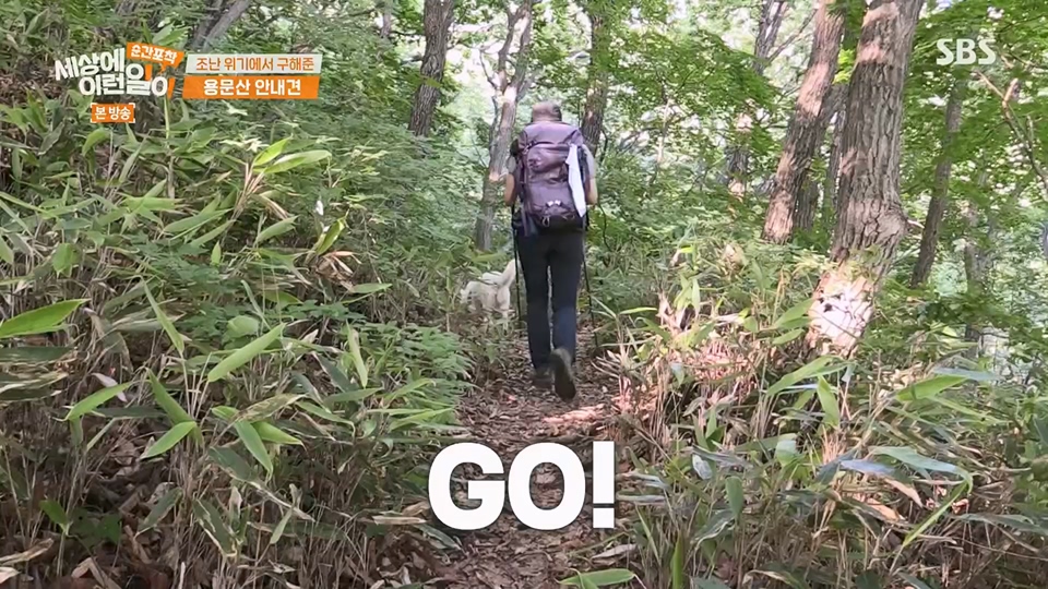 순간포착 세상에 이런일이.E1236.230708p.H264-F1RST.mp4_20230709_171117.841.jpg