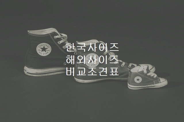  노다지네 잡학다식