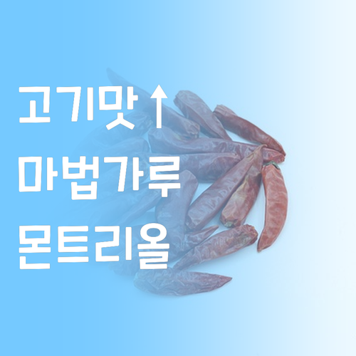 고기 맛을 확 살리는 마법의 가루 몬