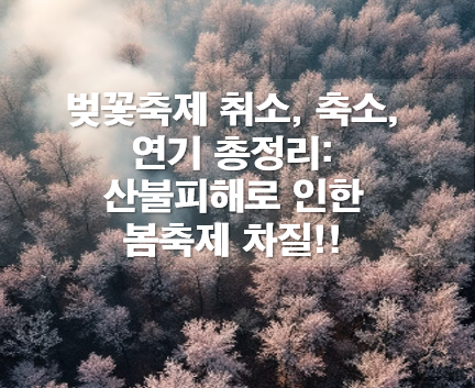 벚꽃축제 취소, 축소, 연기