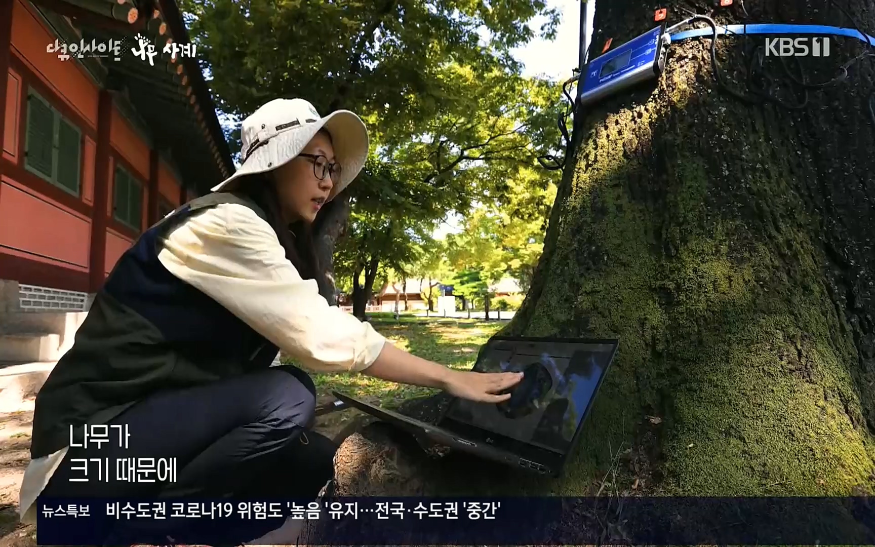 다큐 인사이트.E124.220908p.H264-F1RST.mp4_20220912_143732.515.jpg
