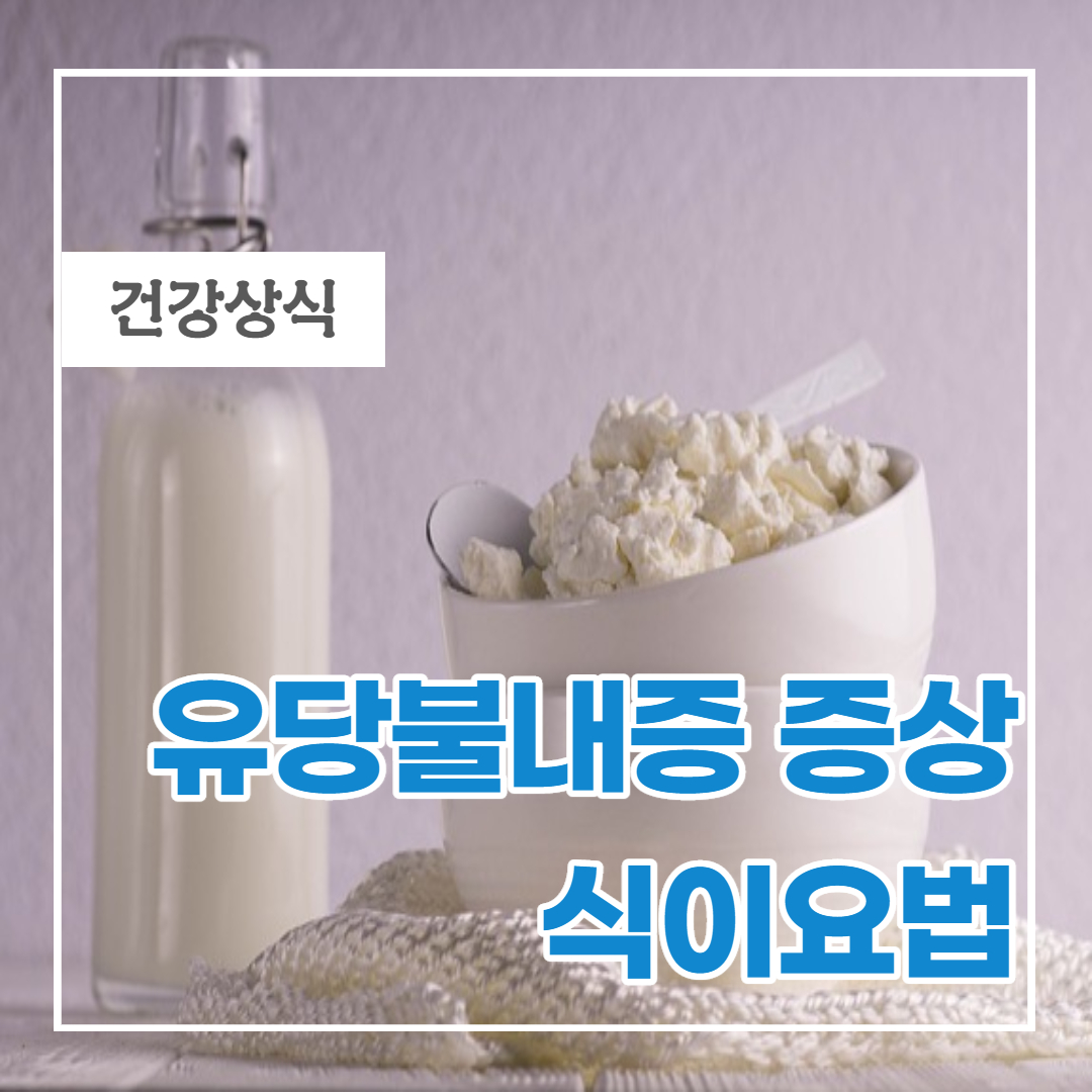  유당불내증 원인증상 및 식이요법