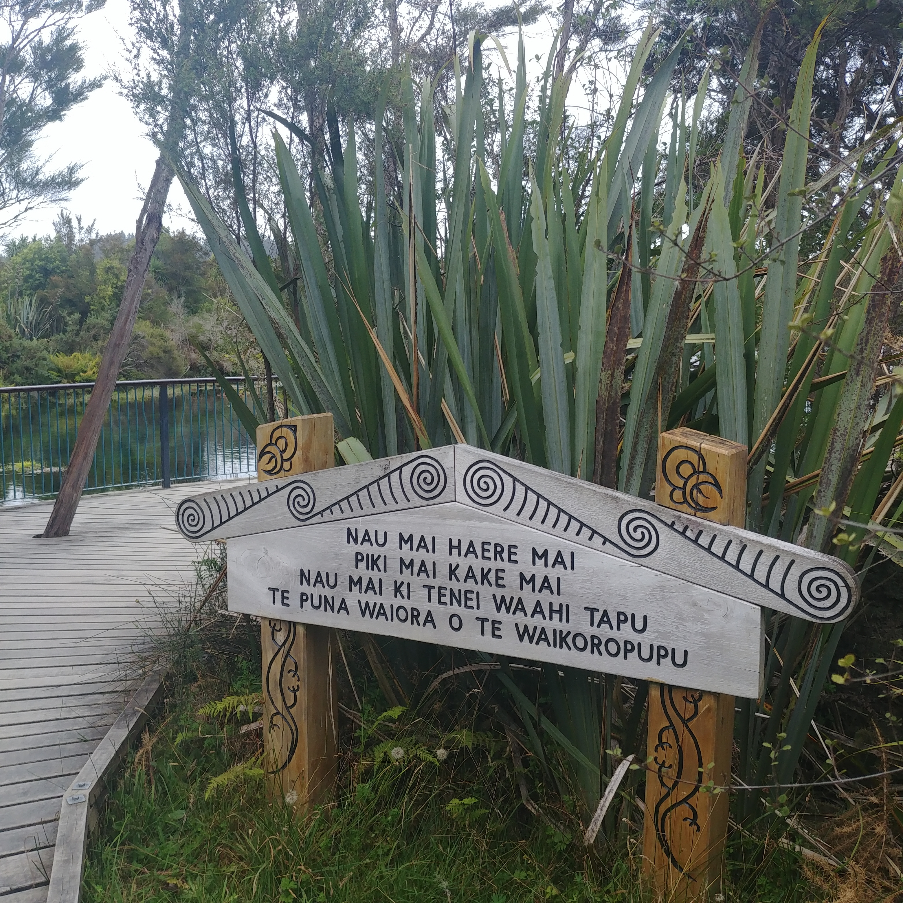 뉴질랜드 남섬 여행 샘물 Te Waikoropupu Springs
