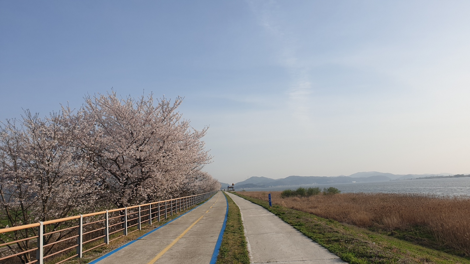 익산-곰개나루터-캠핑장-자전거-금강-벚꽃길