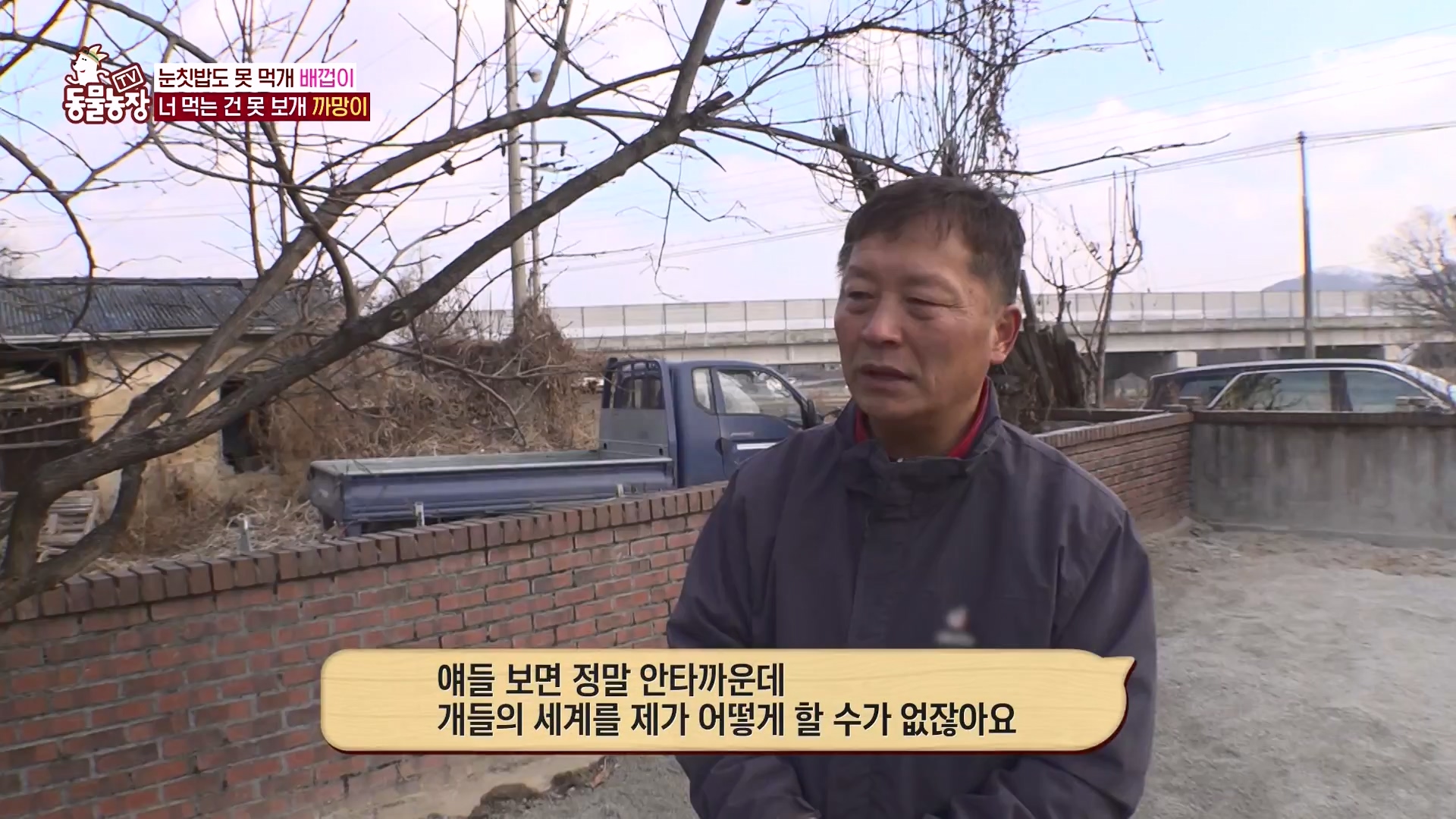 TV 동물농장.E1157.240204p-NEXT.mp4_20240204_172353.523.jpg