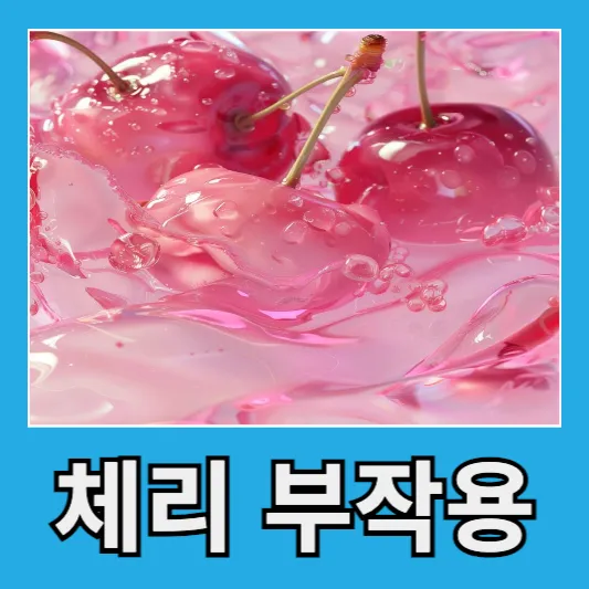 체리 부작용