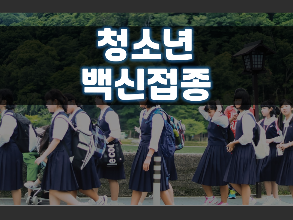  청소년 백신접종 정리 및 요약