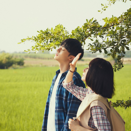 [상견니] 영화 (출처 : 네이버 영화)