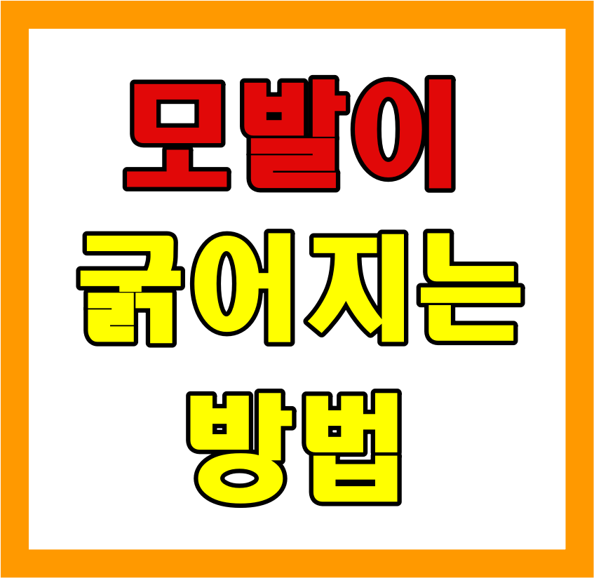  모발 굵어지는법 알아보기