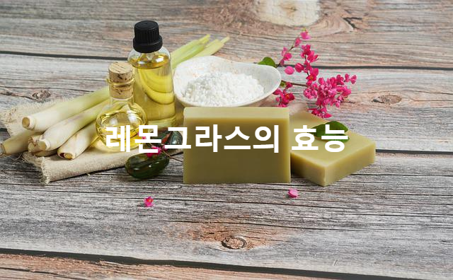  레몬그라스의 효과 및  아로마에 맹활약하는 허브!