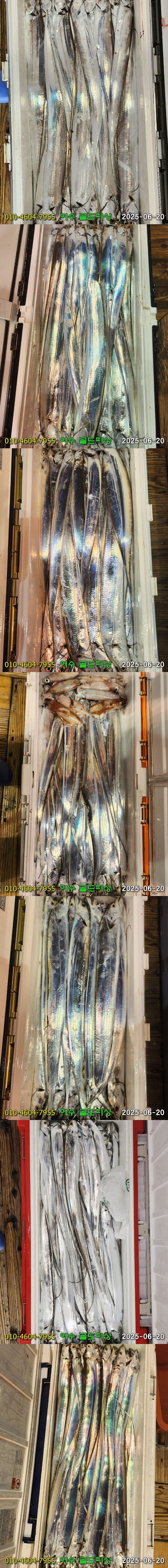 img.jpg