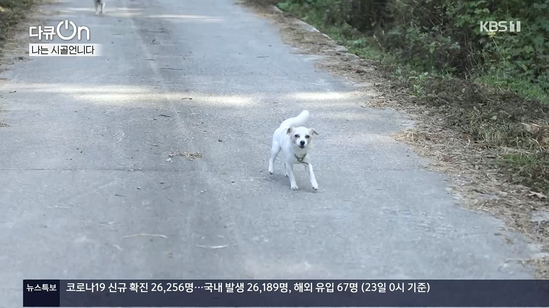 다큐 On.E165p.H264-F1RST.mp4_20221028_212314.058.jpg