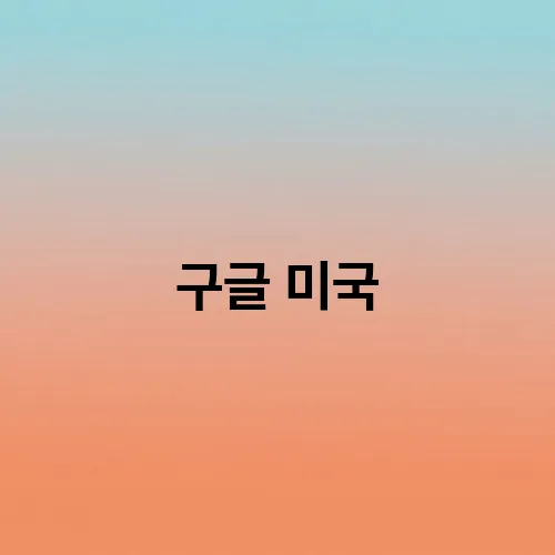 구글 미국