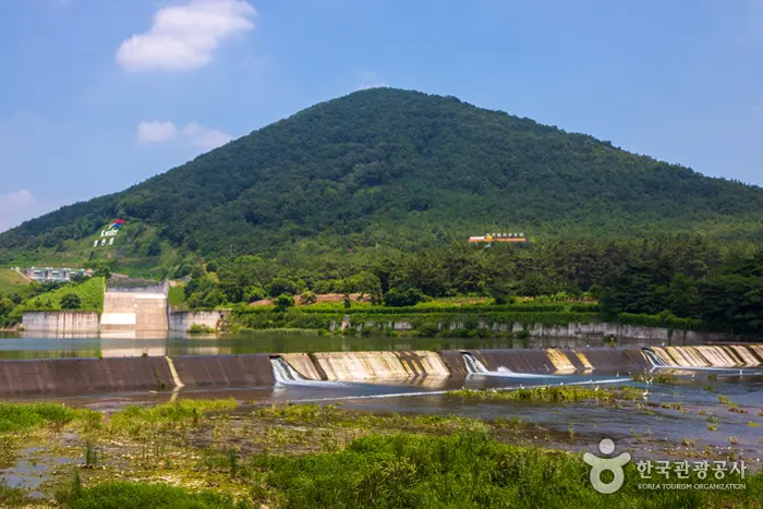 영천댕 공원 전경 이미지