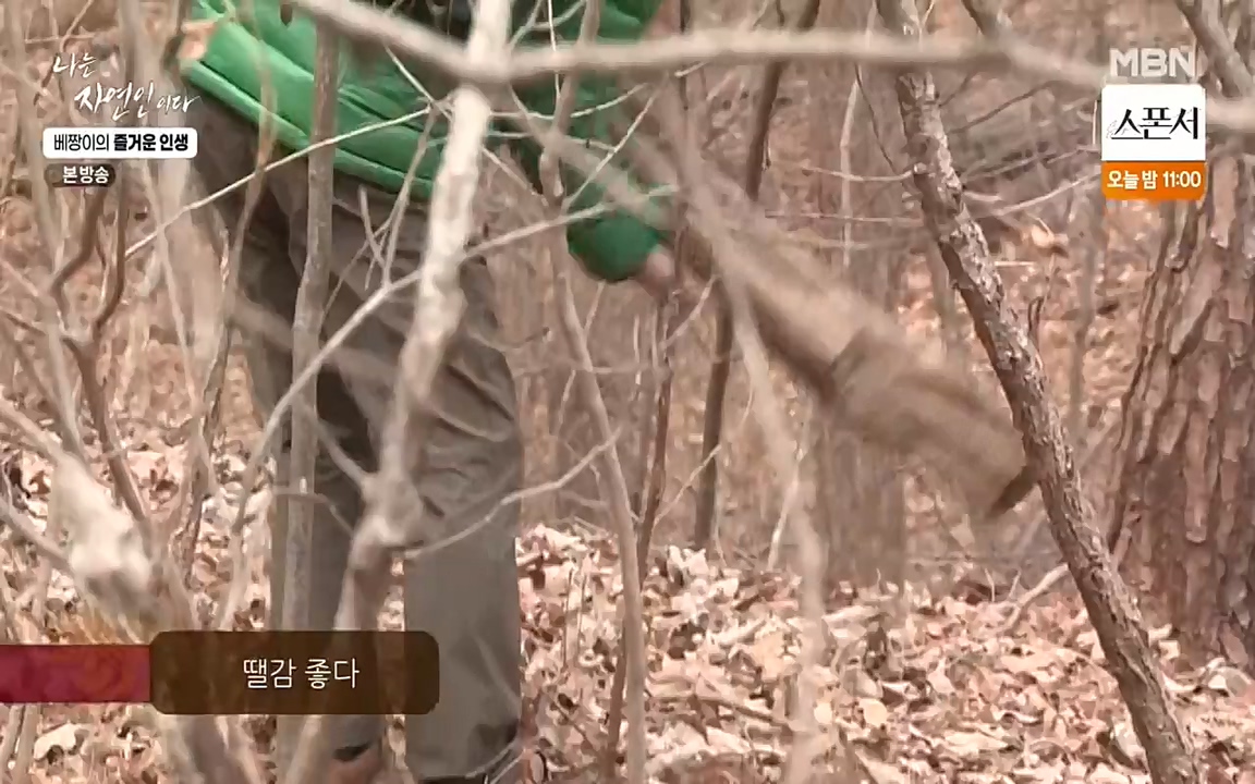 나는 자연인이다.E495.220331p-NEXT.mp4_20220331_174327.330.jpg