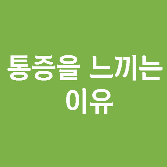  우리가 통증을 느끼는 이유 및 관리법