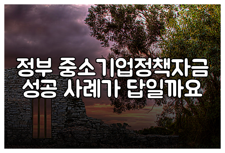 정부 중소기업정책자금 성공 사례가 답일까요