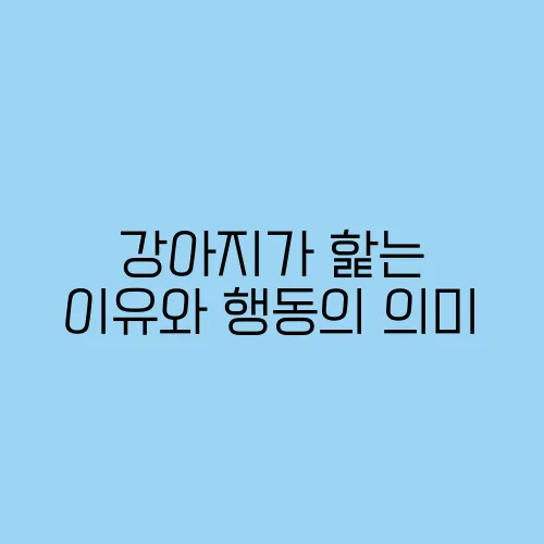 강아지가 핥는 이유와 행동의 의미