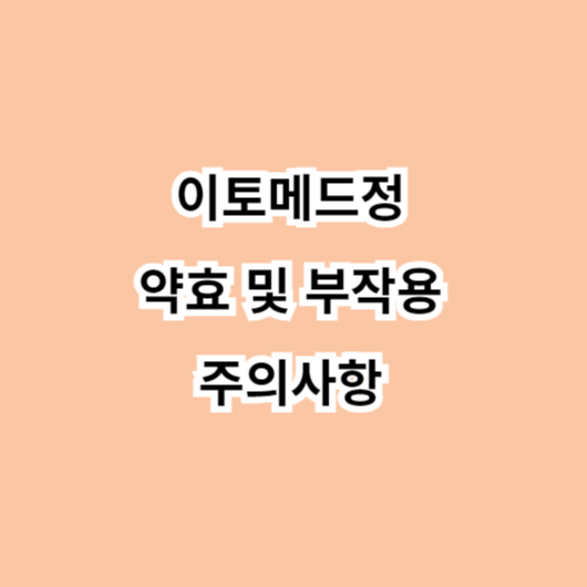 이토메드정 약효