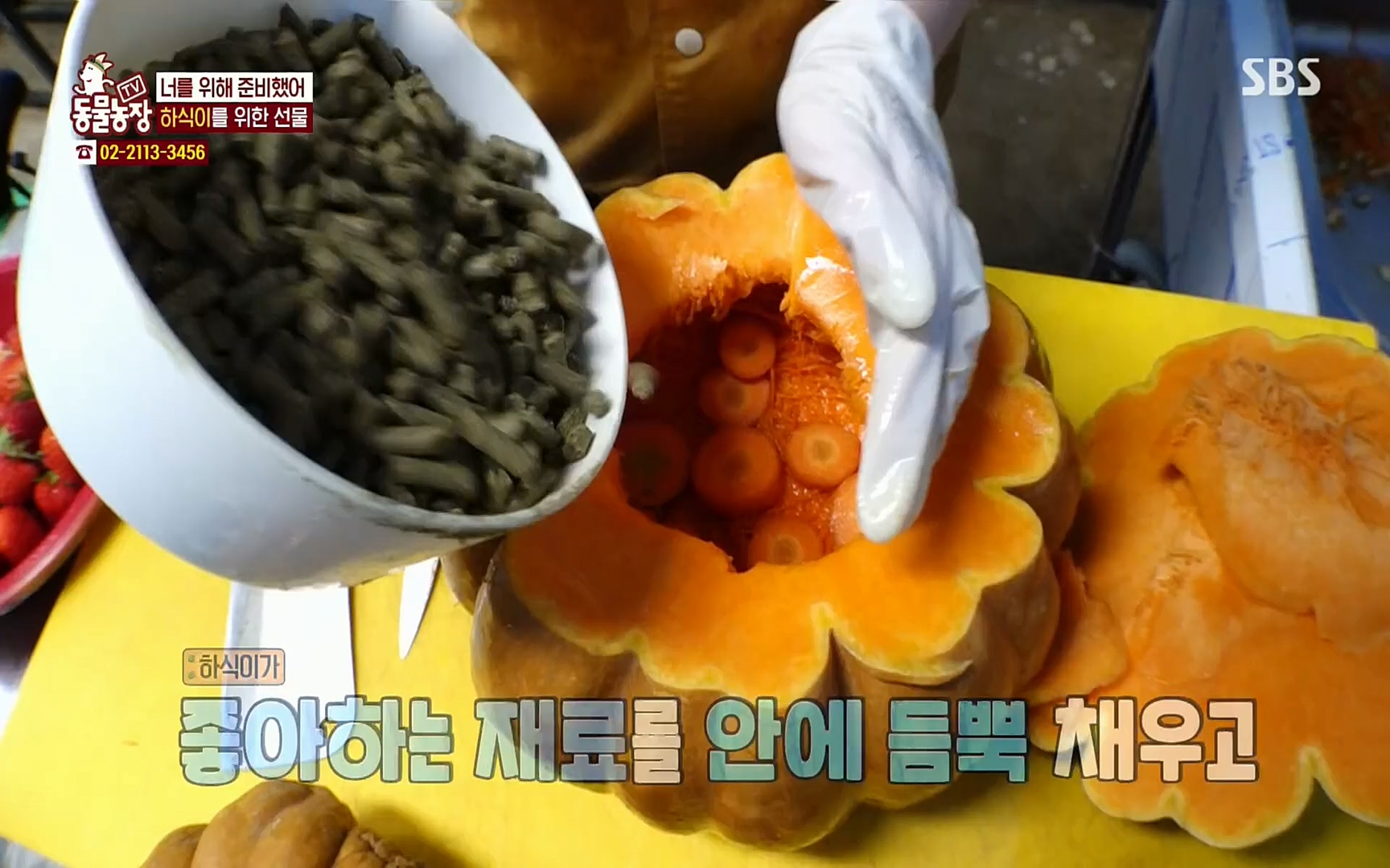 TV 동물농장.E1067.220501p.H264-F1RST.mp4_20220501_185002.383.jpg
