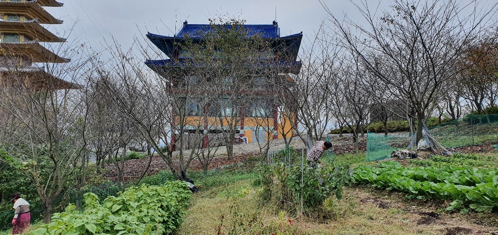 img.jpg