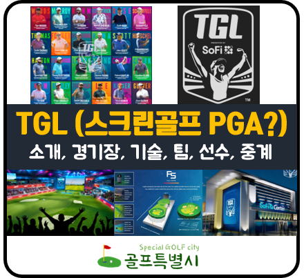 TGL 골프