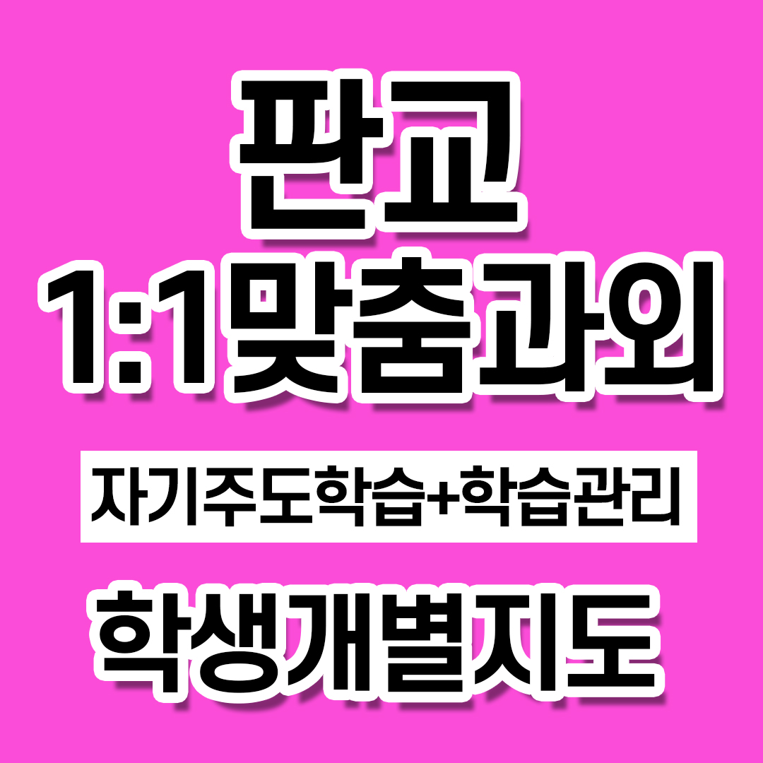  판교 고등과외 영어 수학 중학생 국어 초등 학생맞춤 일대일과외