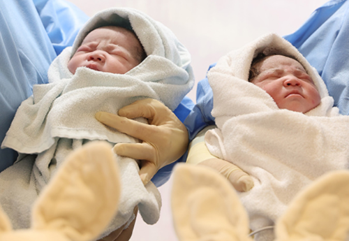 알트태그-갓 태어난 쌍둥이 신생아