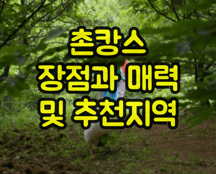 촌캉스 추천지역