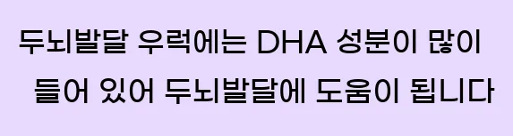  12. 두뇌발달 우럭에는 DHA 성분이 많이 들어 있어 두뇌발달에 도움이 됩니다.