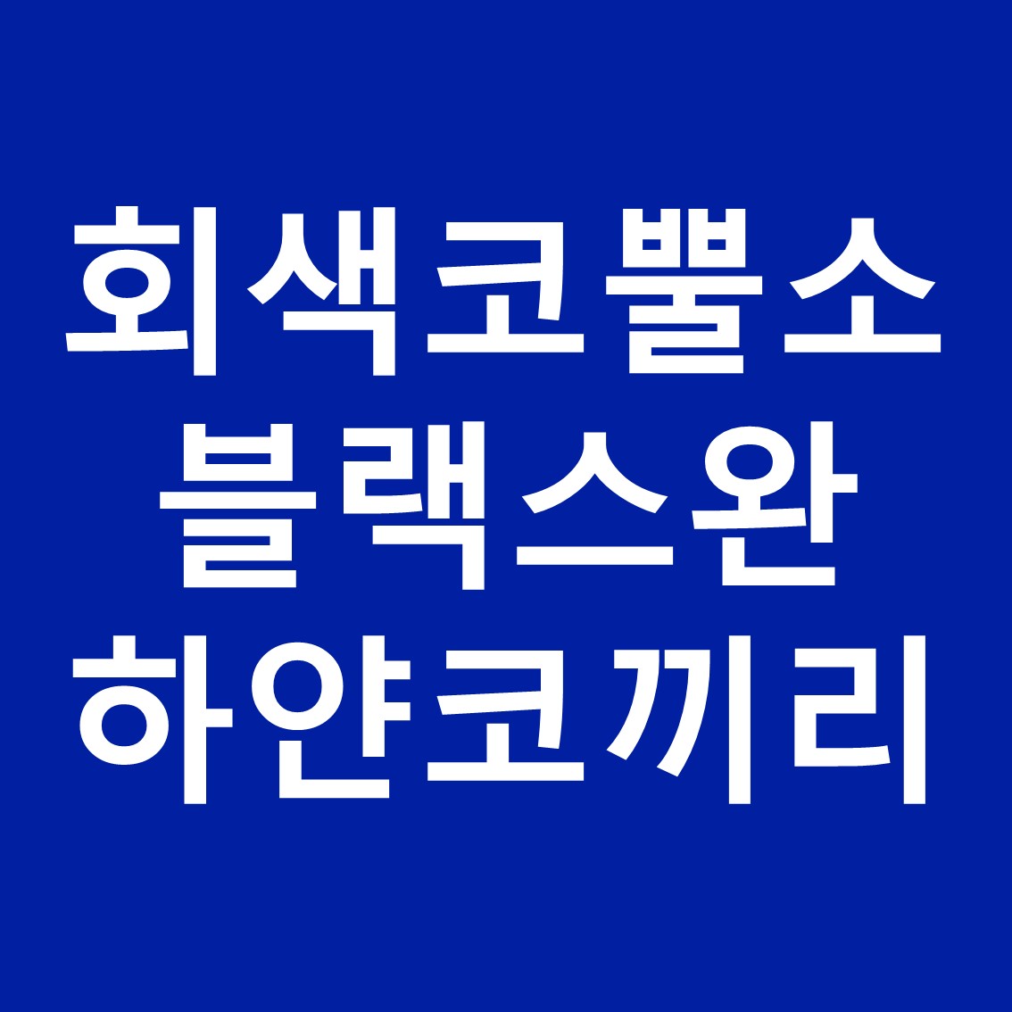 시사용어