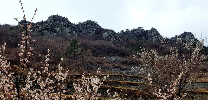 경남 남해 다랭이마을