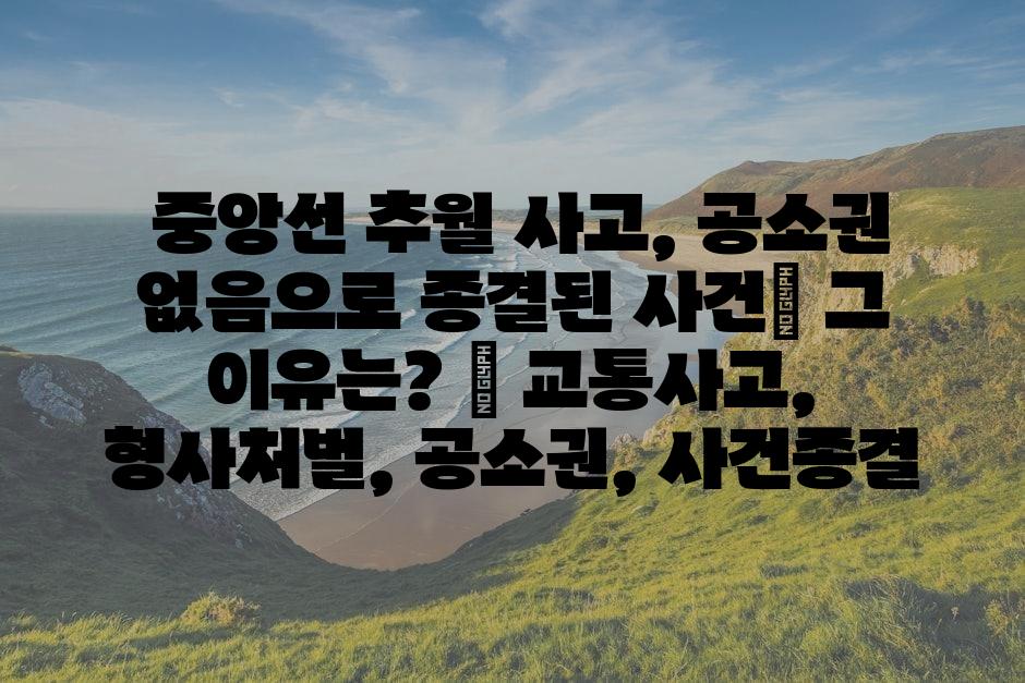 샘플 (86)