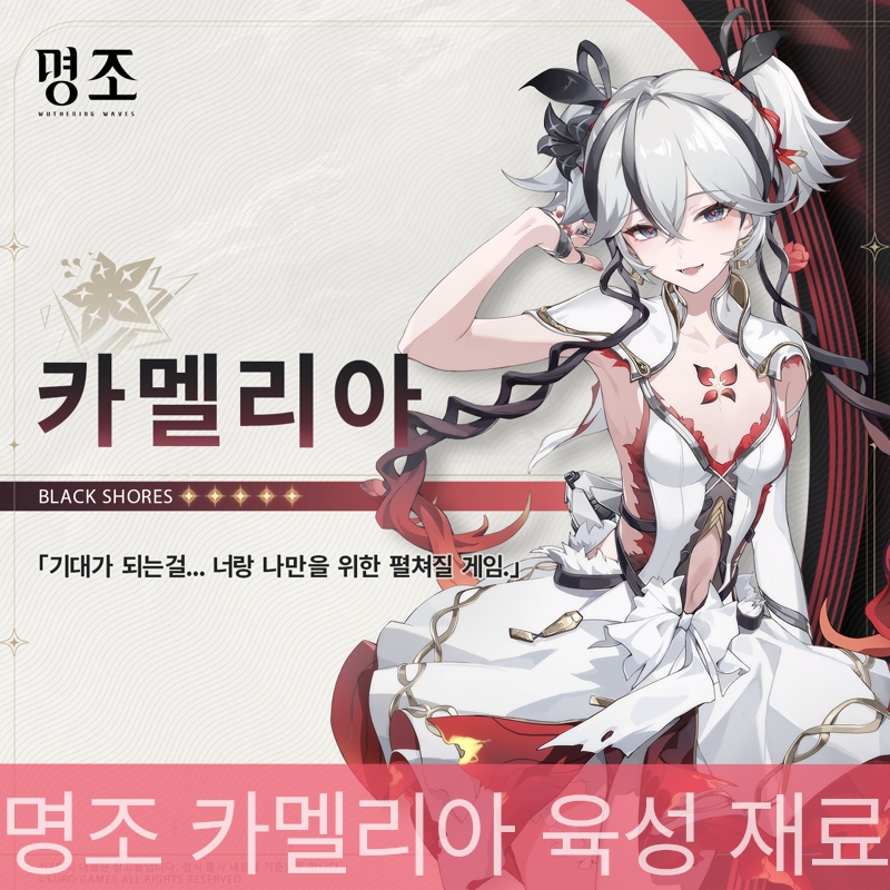 명조 카멜리아 대표 일러스트 입니다.
