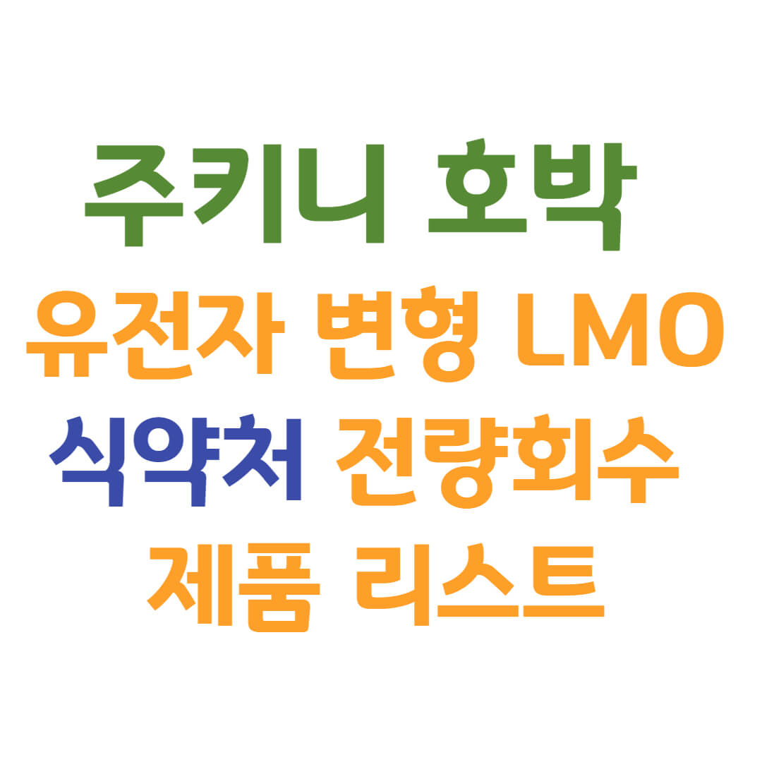 주키니 호박 유전자 변형 LMO 식약처 전량회수 제품 리스트