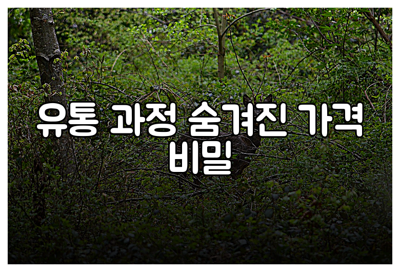 유통 과정 숨겨진 가격 비밀