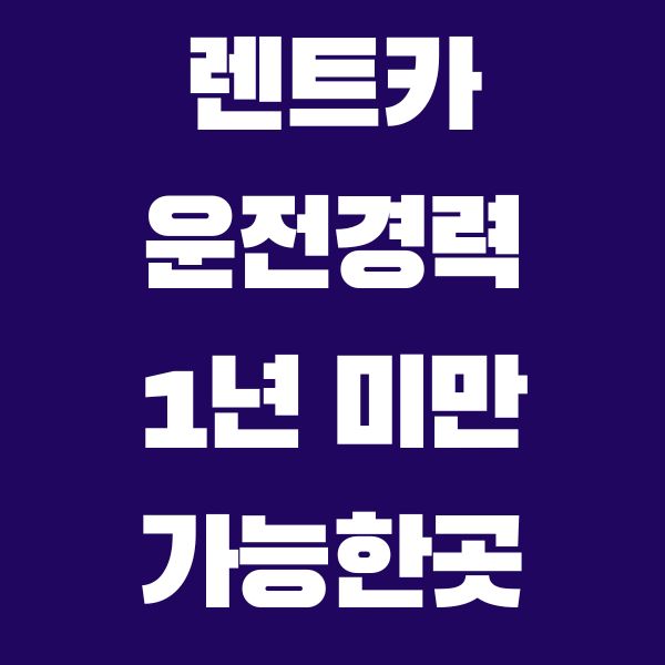 렌트카 운전 면허 경력 1년 미만 가능한 곳, 기준 확인 법(제주도, 서울) - 타지마할의 인포나라