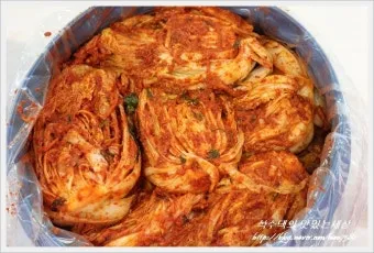 싹싹김치 뜻 밈 유래 사용법_22