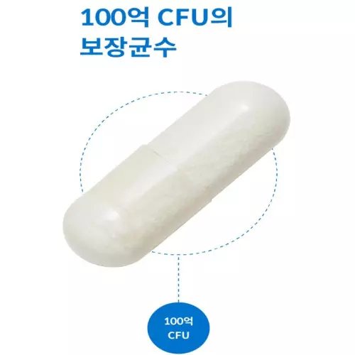 여에스더 유산균 클래식 섭취 대상