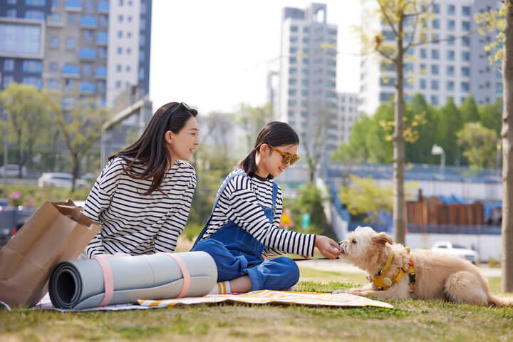 생애최초 디딤돌대출 조건&amp;#44; 금리&amp;#44; 신청 한눈에 보기 