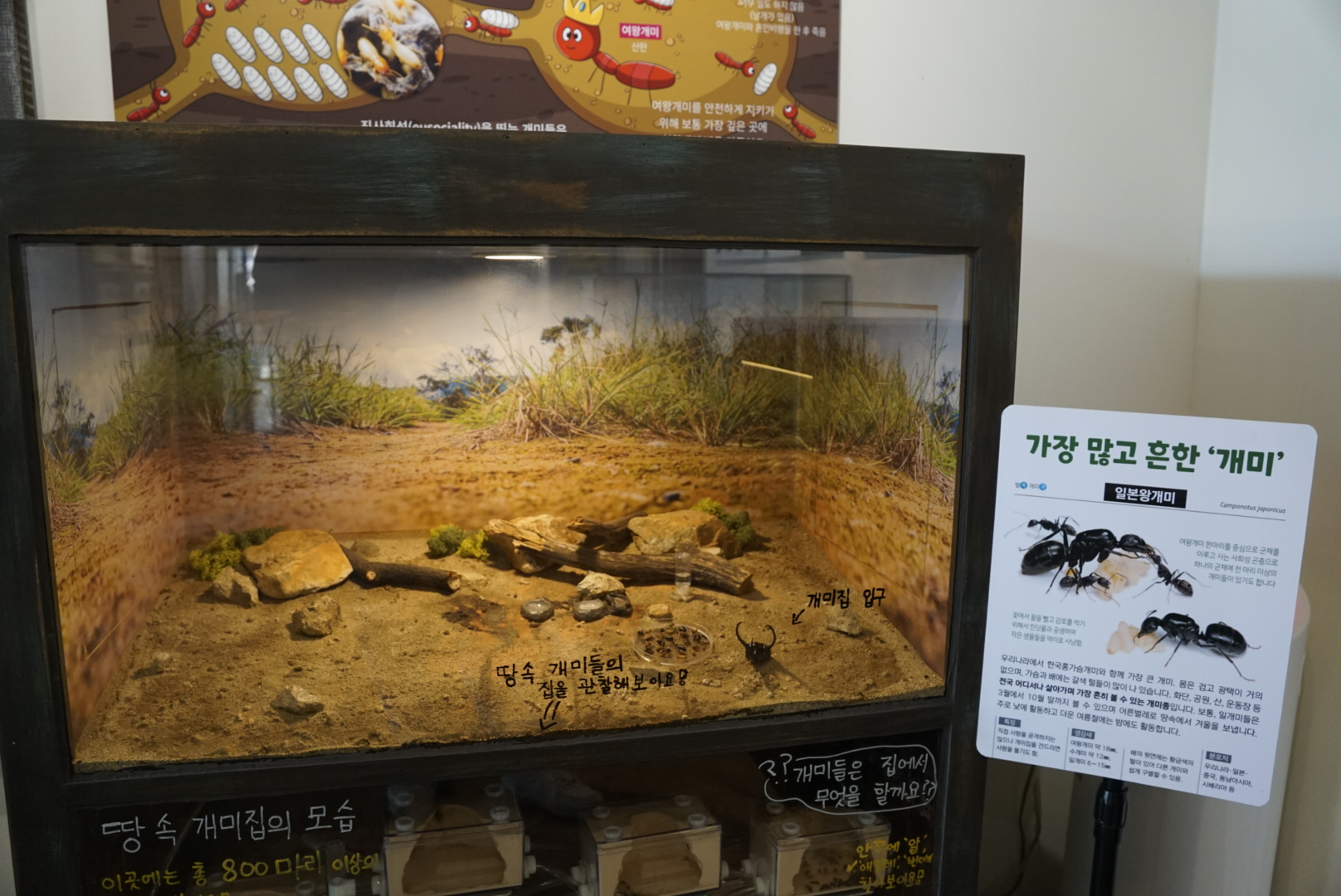 용인 곤충테마파크